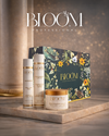 Kit completo con 15% OFF + Obsequio