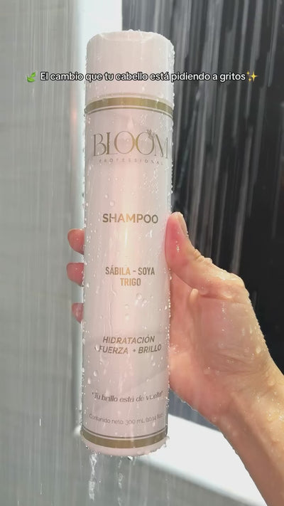 Video story de Bloom